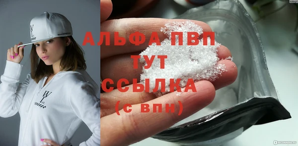 гидра Михайловск