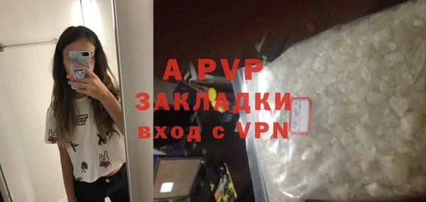 гидра Михайловск