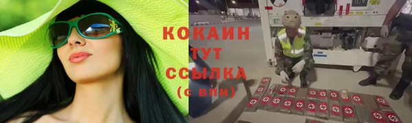 гидра Михайловск