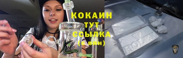 шишки Михайлов