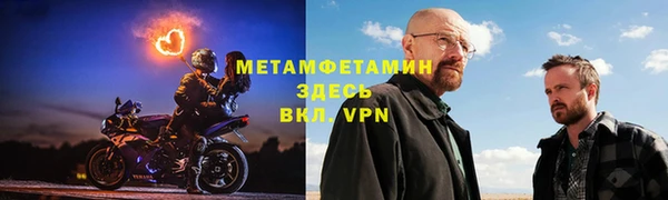 гидра Михайловск