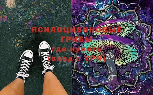 шишки Михайловка