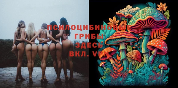 шишки Михайлов
