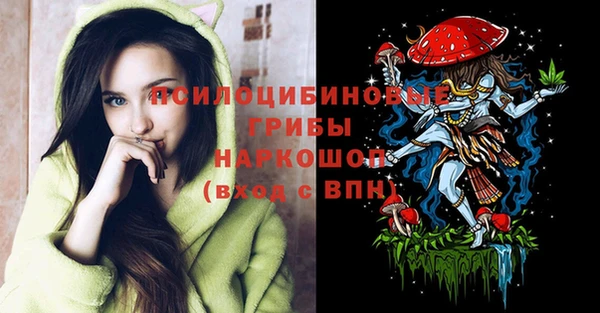 шишки Михайловка