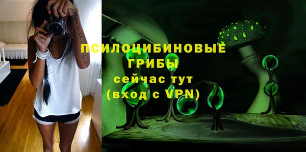 гидра Михайловск
